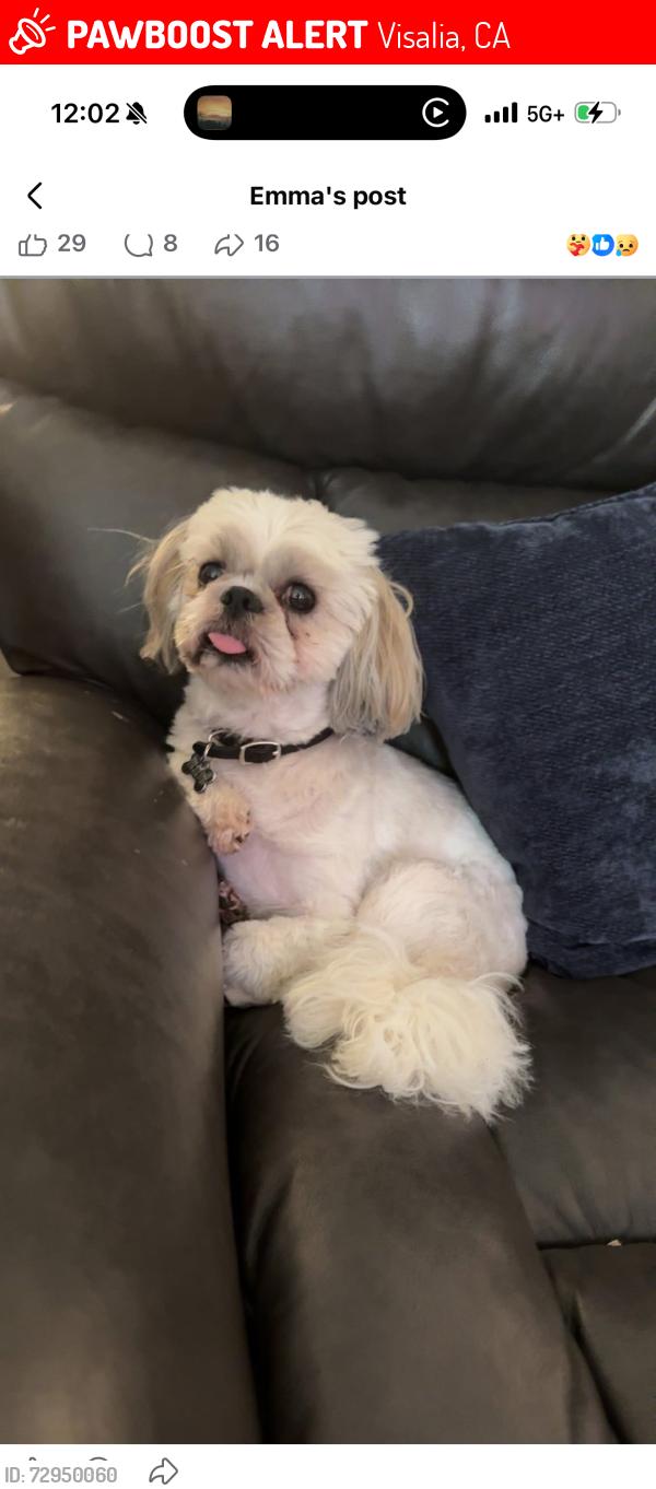 Lost Male Dog last seen Nazarene Church, Visalia, CA 93277