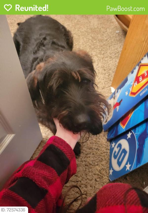 Reunited Female Dog last seen Wyoming/Kingsrow, Reno, NV 89503