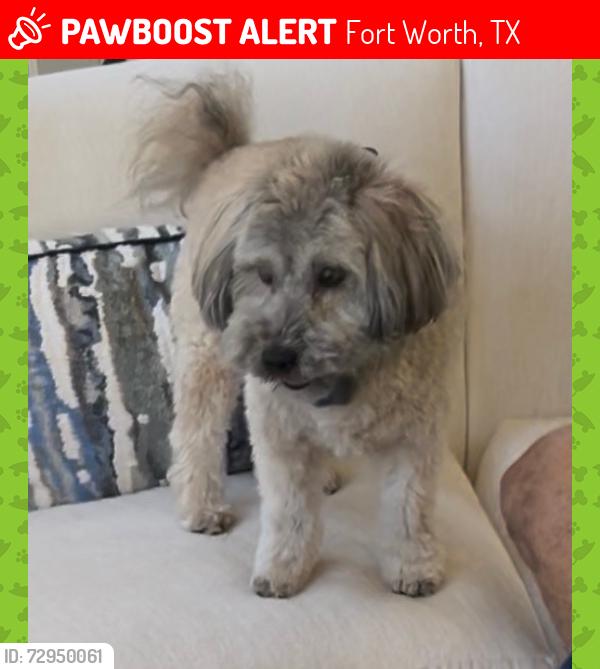 Lost Male Dog last seen  Byers and Merrick, Fort Worth, TX 76107