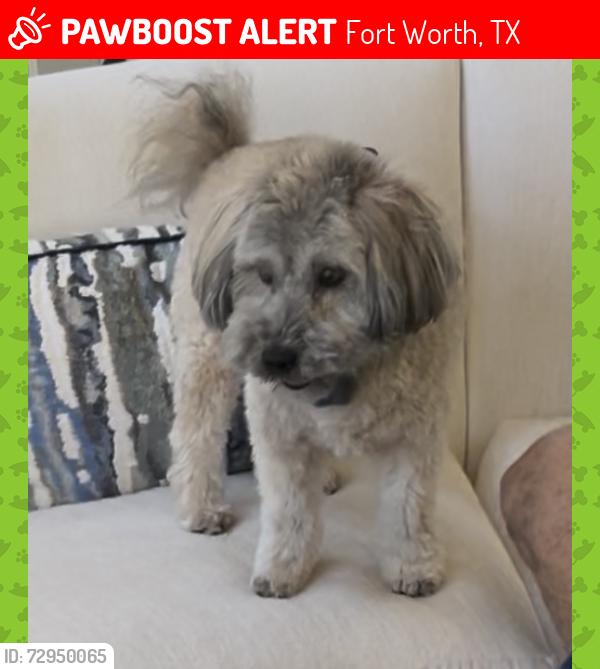 Lost Male Dog last seen Merrick & Byers, Fort Worth, TX 76107