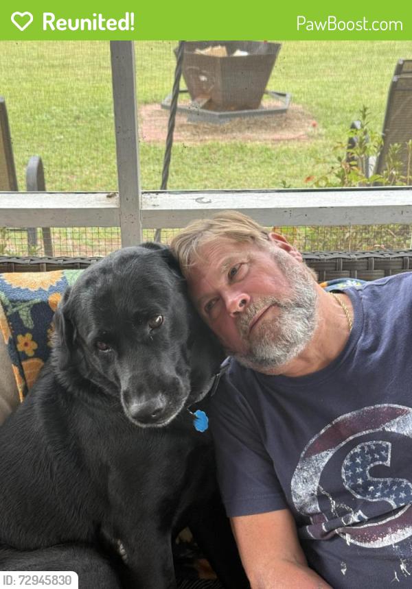 Reunited Male Dog last seen swift creek / Lewis crossroad , Hartsville, SC 29550