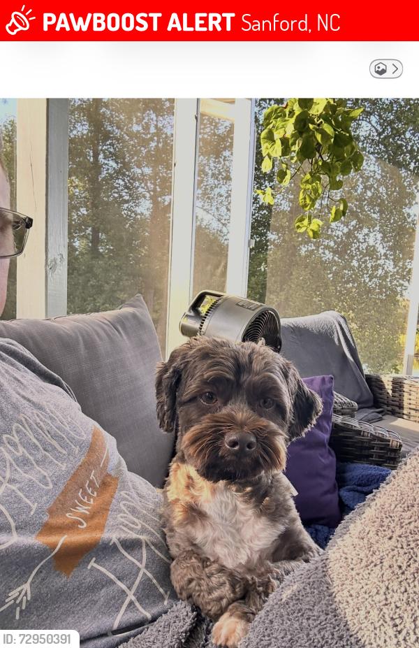 Lost Female Dog last seen Quail ridge golf community, Sanford, NC 27332