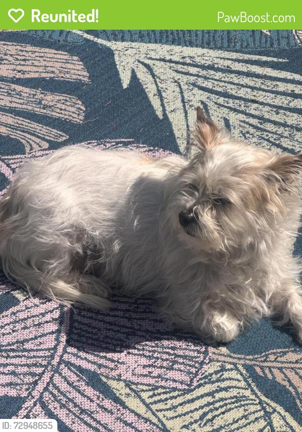 Reunited Male Dog last seen Knott park, Portland, OR 97220