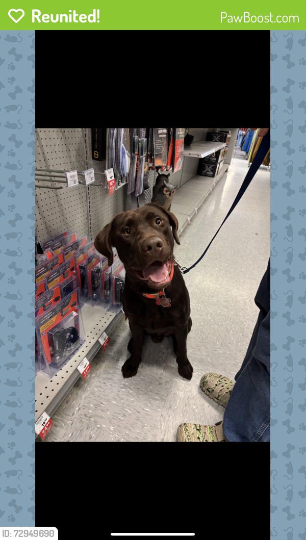 Reunited Male Dog last seen North bryan, Bryan, TX 77803