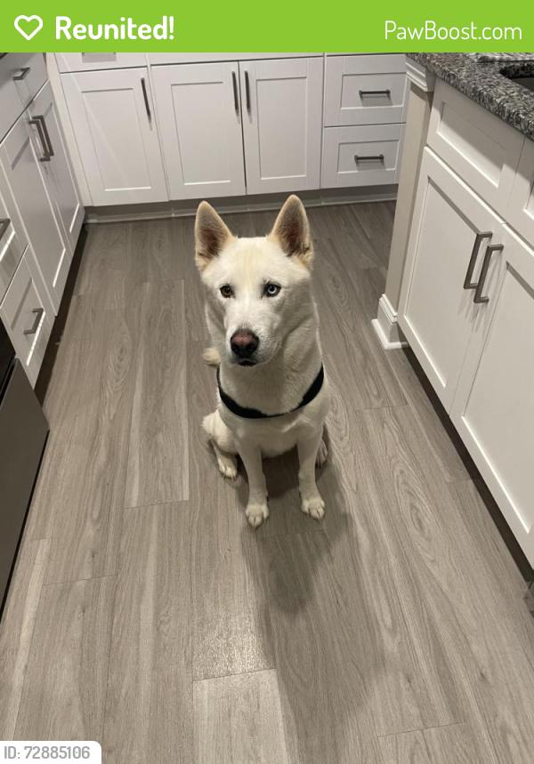 Reunited Male Dog last seen Mckelvey rd, Fountain Inn, SC 29644