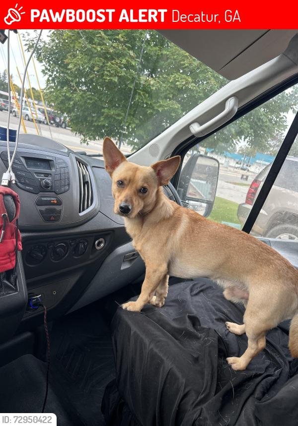 Lost Male Dog last seen Finesse dr, Decatur, GA 30032