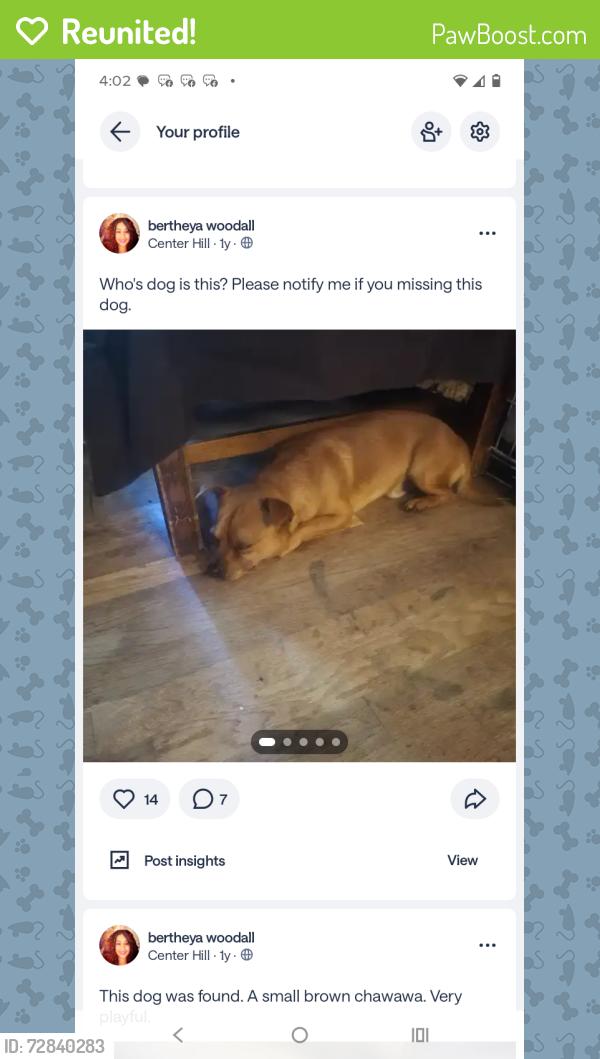 Reunited Male Dog last seen Baker rd, Bankhead and Hightower , Atlanta, GA 30318