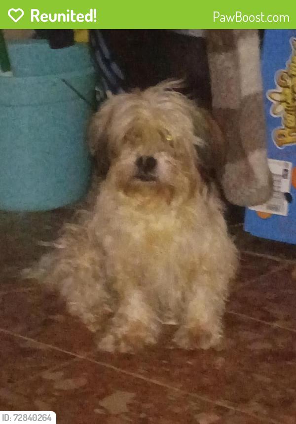 Reunited Male Dog last seen Baker rd, Bankhead and Hightower, Atlanta, GA 30318