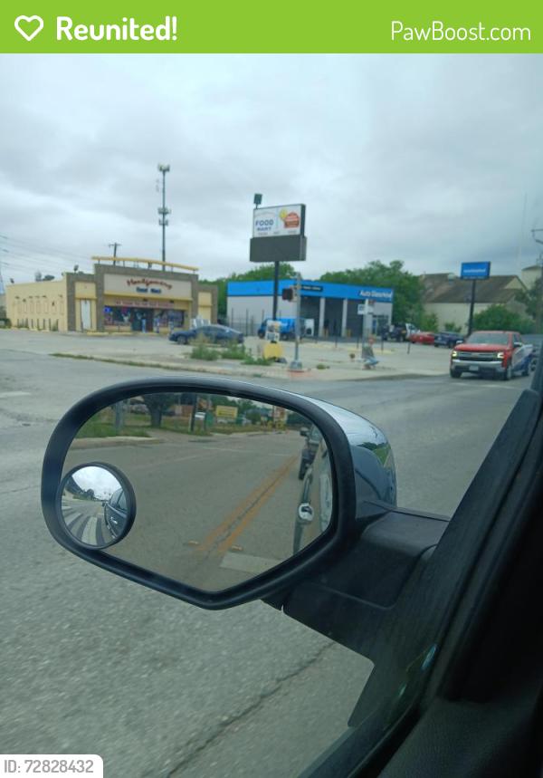 Reunited Female Dog last seen Montgomery corner store, Windcrest, TX 78239