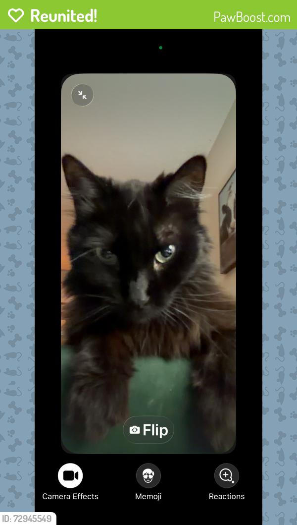 Reunited Male Cat last seen Kobe’s , Fargo, ND 58103