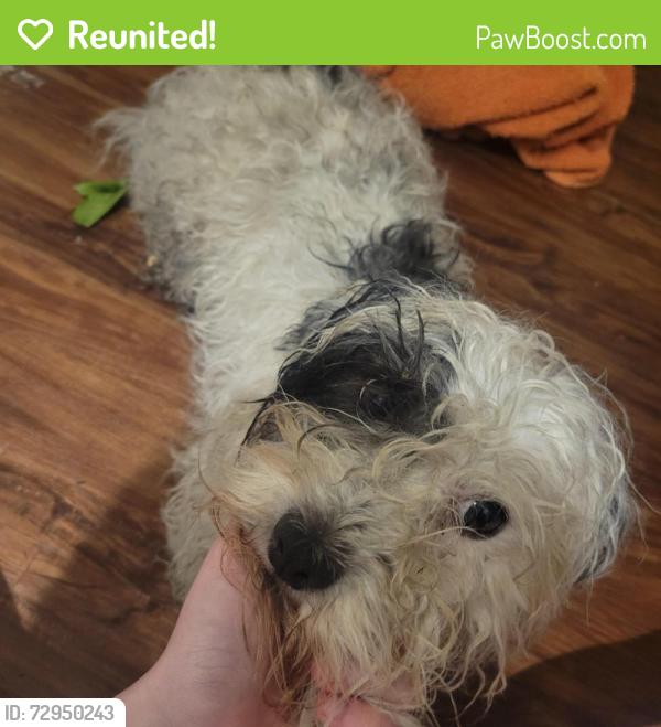Reunited Male Dog last seen Last seen in , Burnsville, MN 55337