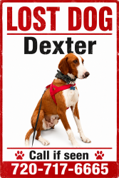 Lost Male Dog last seen Field in bushes, Colorado Springs, CO 80906