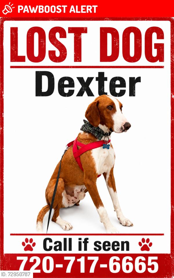Lost Male Dog last seen Field in bushes, Colorado Springs, CO 80906