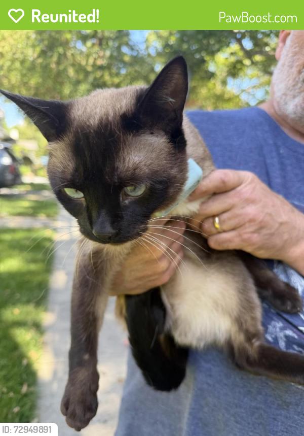 Reunited Male Cat last seen Iris Ct, San Jose, CA 95125, USA, San Jose, CA 95125
