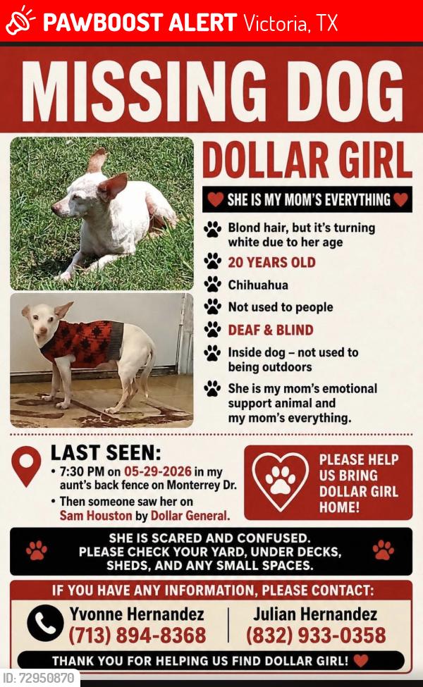 Lost Female Dog last seen Sam Houston, Victoria, TX 77904