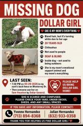 Lost Female Dog last seen Sam Houston, Victoria, TX 77904