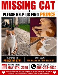 Lost Male Cat last seen NW Blair St, Sheridan, OR 97378