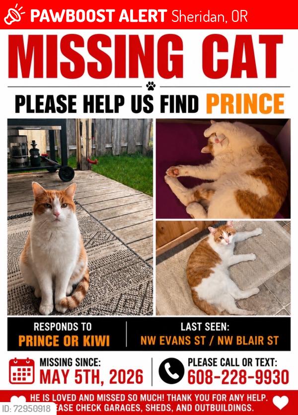 Lost Male Cat last seen NW Blair St, Sheridan, OR 97378