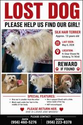 Lost Female Dog last seen Richardson rd, Edinburg, TX 78542