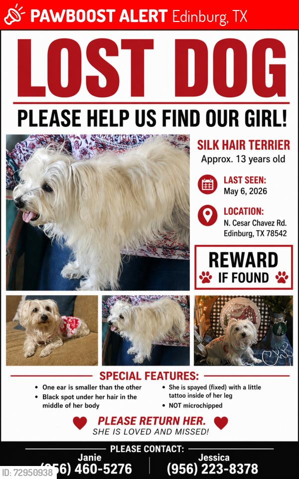 Lost Female Dog last seen Richardson rd, Edinburg, TX 78542