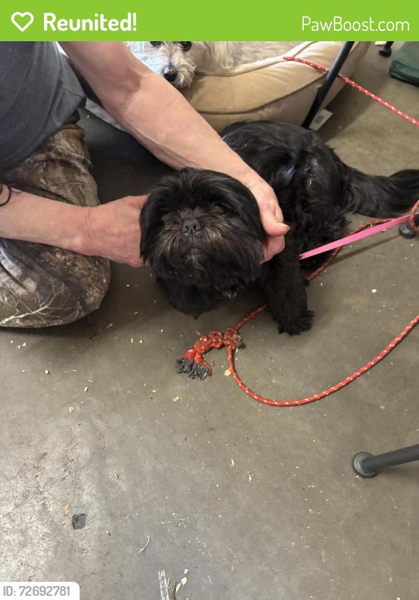 Reunited Male Dog last seen NW. 115th St. 71362 and is here now, Oklahoma City, OK 73162