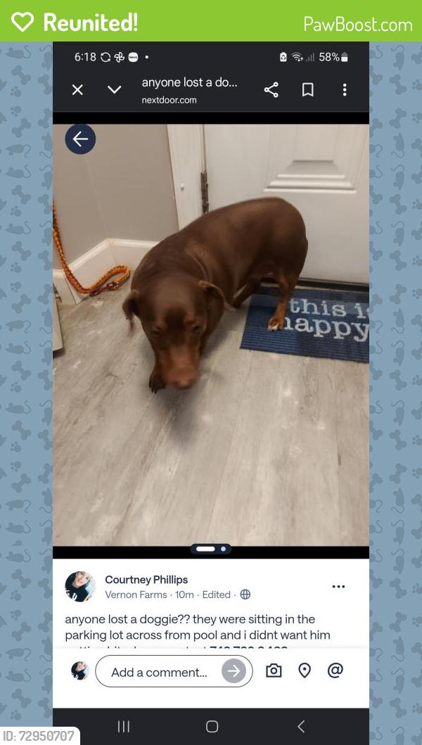Reunited Female Dog last seen Westhill place, Kernersville, NC 27284
