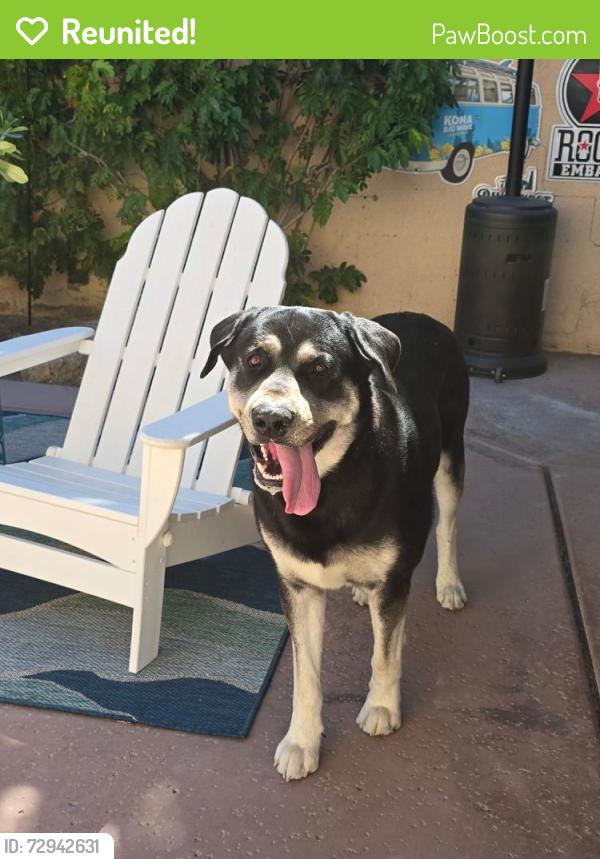 Reunited Male Dog last seen 42nd street , Bermuda Dunes, CA 92203