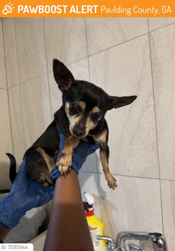 Found/Stray Female Dog last seen Cedarcrest road, Paulding County, GA 30101