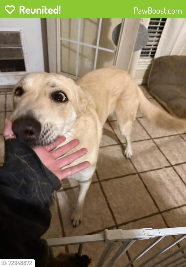 Reunited Male Dog last seen Hefner and Rockwell , Oklahoma City, OK 73162