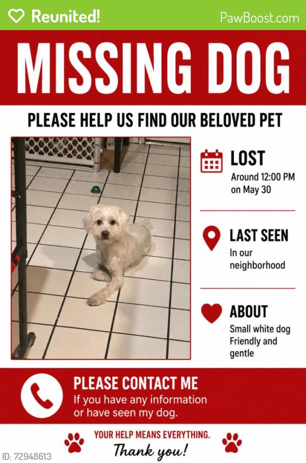 Reunited Male Dog last seen Near Malaga Ct, Palmdale, CA 93552, USA, Palmdale, CA 93552