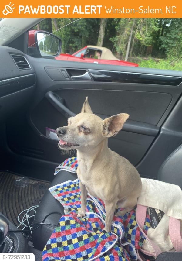 Found/Stray Female Dog last seen Ebert st, Winston-Salem, NC 27127