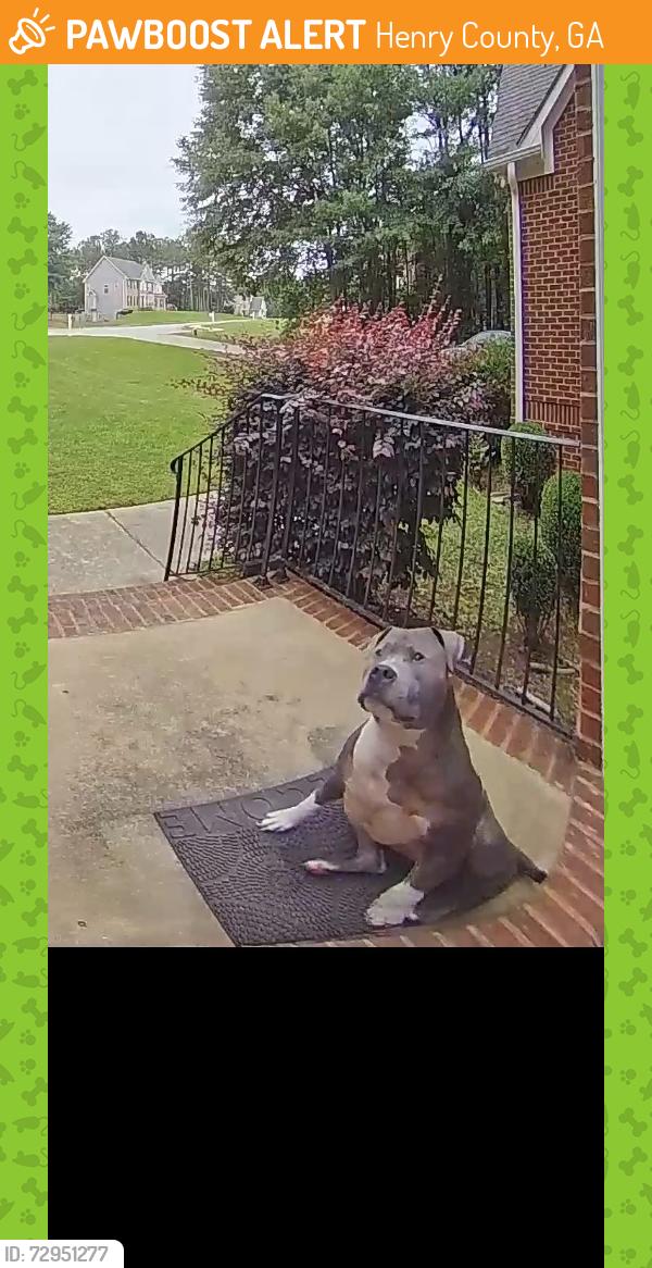 Found/Stray Male Dog last seen Kellytown Rd , Henry County, GA 30252