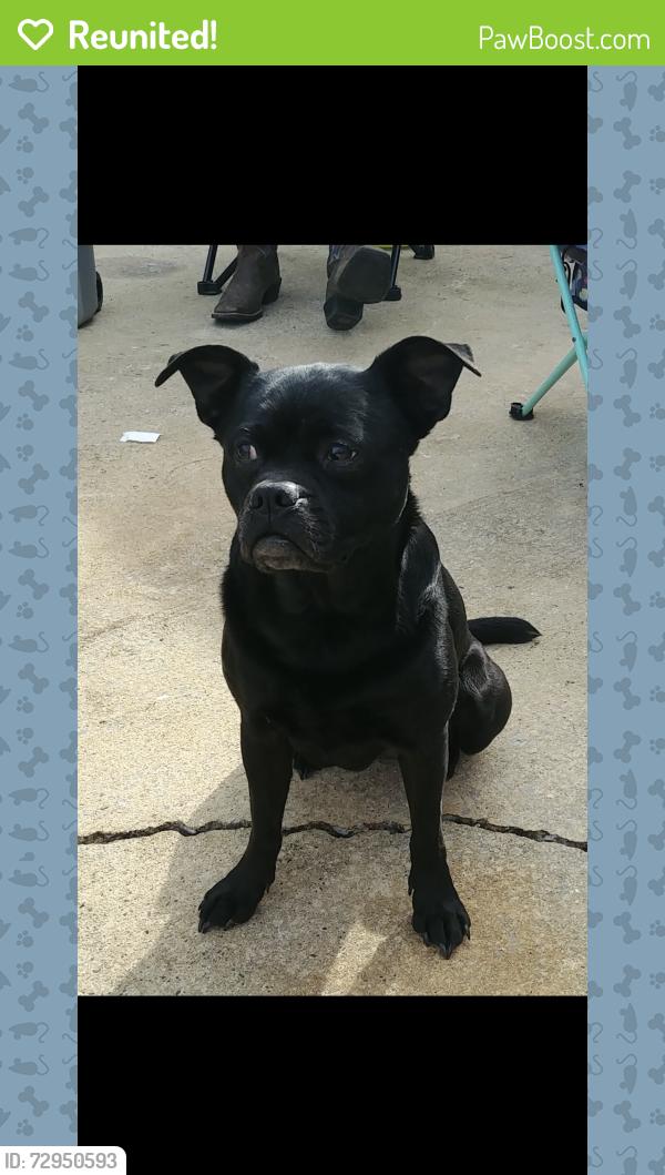 Reunited Female Dog last seen Valley Lane, Blount County, AL 35180