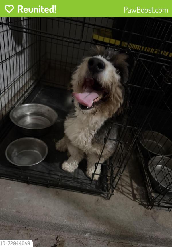 Reunited Male Dog last seen W Lowry & S 4140 Rd, Claremore, OK 74017