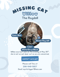Lost Female Cat last seen 155th Midvale Ave N, Shoreline, WA 98133