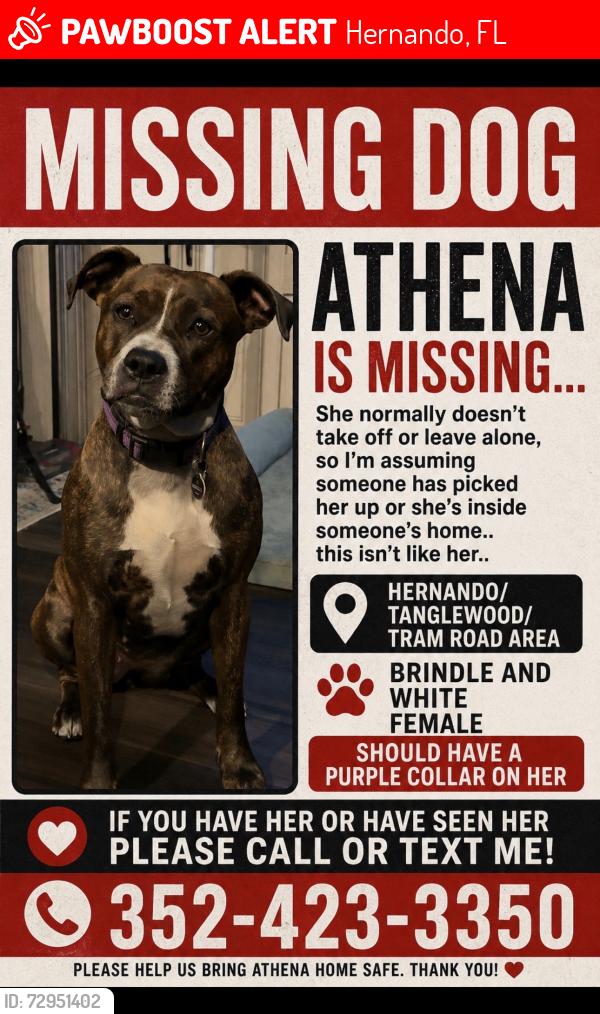 Lost Female Dog last seen hernando/ tanglewood citrus county, Hernando, FL 34442