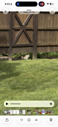 Found/Stray Unknown Cat last seen Between the train fence and ours , Palatine, IL 60067