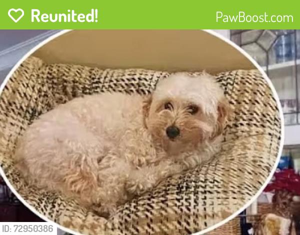 Reunited Unknown Dog last seen In a mobile home , Garden Grove, CA 92844