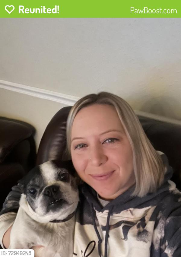 Reunited Female Dog last seen Levi Rd, Falling Water, TN 37343