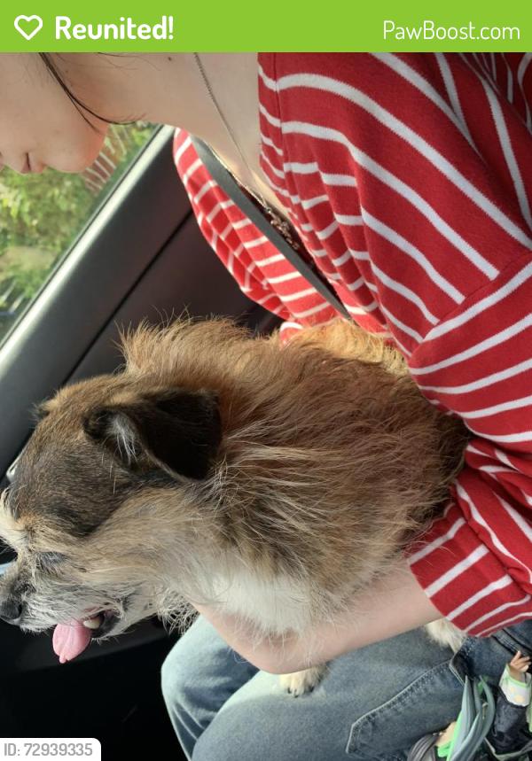 Reunited Female Dog last seen She was on the highway :(, Indianapolis, IN 46268