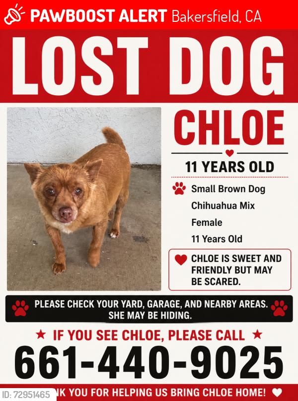 Lost Female Dog last seen Last seen on seligman drive Bakersfield , Bakersfield, CA 93309