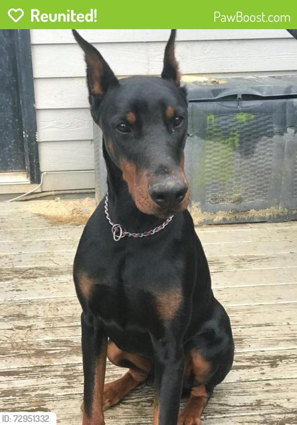 Reunited Male Dog last seen North Cobb High School, Kennesaw, GA 30144