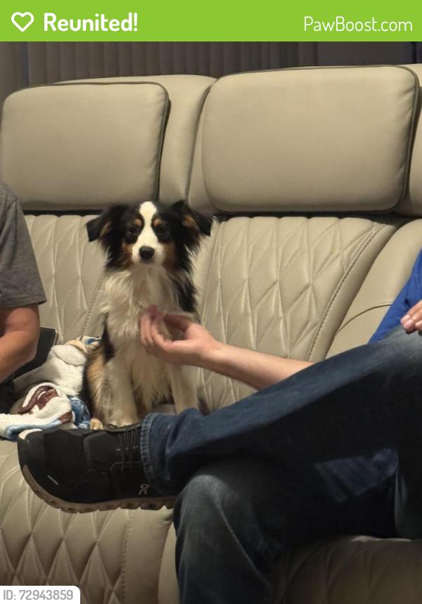 Reunited Male Dog last seen Publix on Yellowbluff Rd, Jacksonville, FL 32226