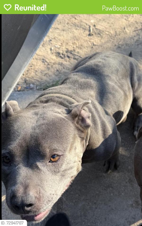 Reunited Male Dog last seen Near , Fort Worth, TX 76119