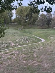 Found/Stray Unknown Cat last seen In the green drainage area, spotted while walking along Turnberry from Richard’s Lake Dr toward mainsail. Was sitting on the concrete ditch of the drainage system., Fort Collins, CO 80524