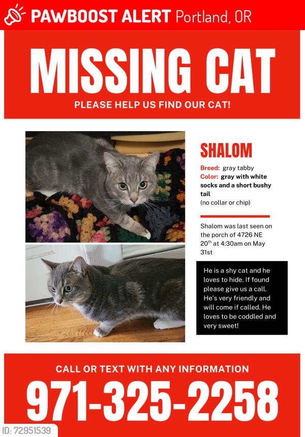 Lost Male Cat last seen 20th ave and wygant, Portland, OR 97211