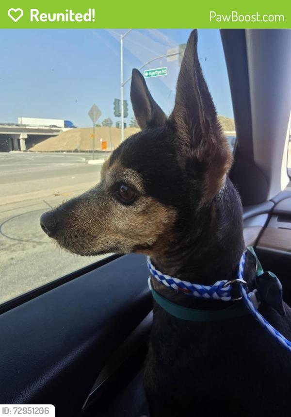Reunited Male Dog last seen Bushwillow Way Main Street, Piru, CA 93040