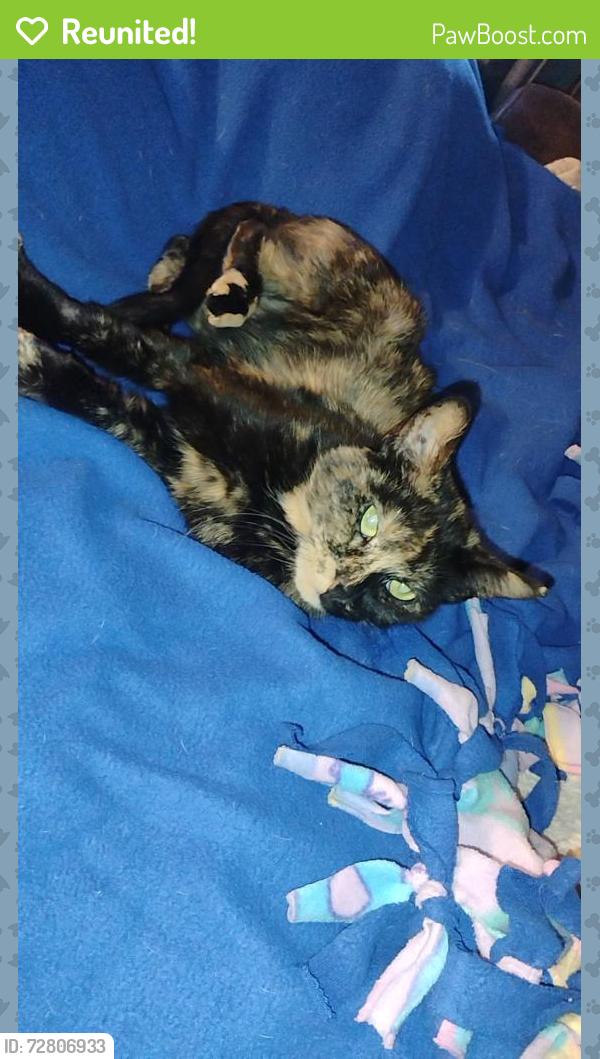 Reunited Female Cat last seen Lexington memorial park, Circle Pines, MN 55014