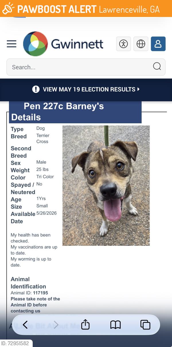 Found/Stray Male Dog last seen Bethesda Park, Lawrenceville, Lawrenceville, GA 30044