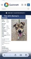 Found/Stray Male Dog last seen Bethesda Park, Lawrenceville, Lawrenceville, GA 30044